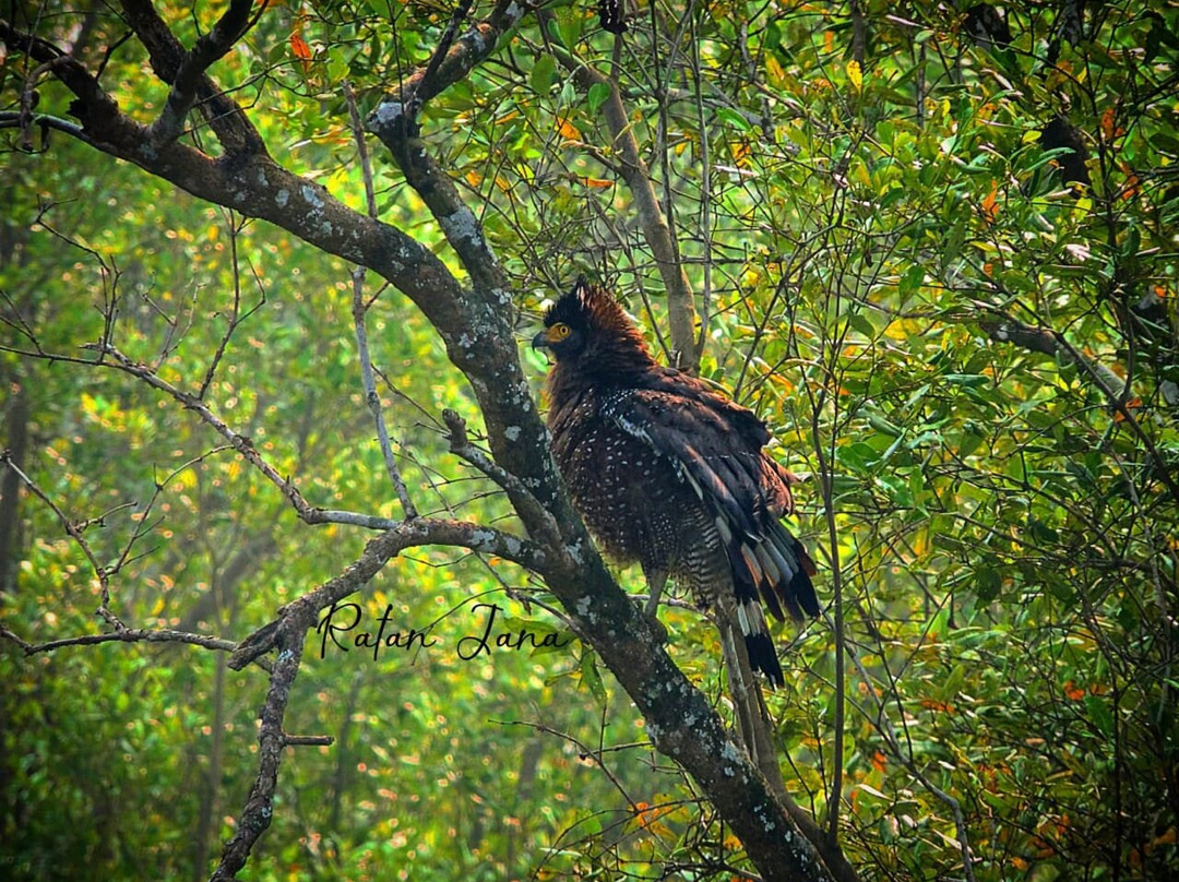Sundarban Beckons-Gosaba必去景点