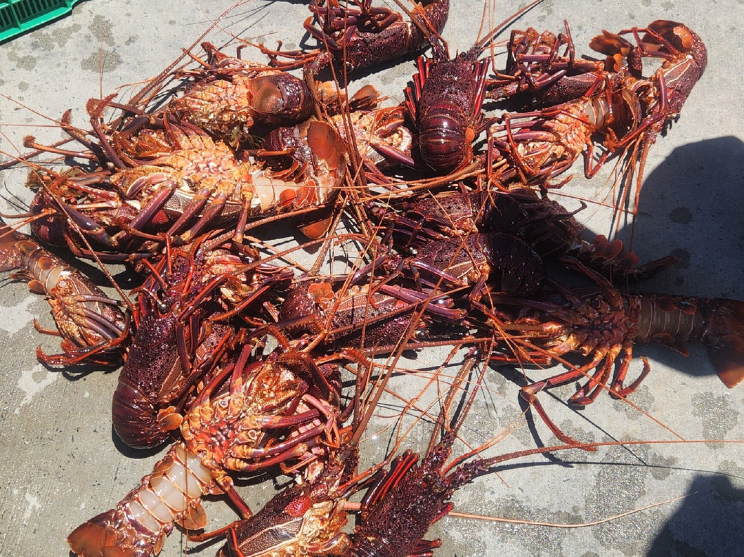 Lobster Shack-塞万提斯必去景点