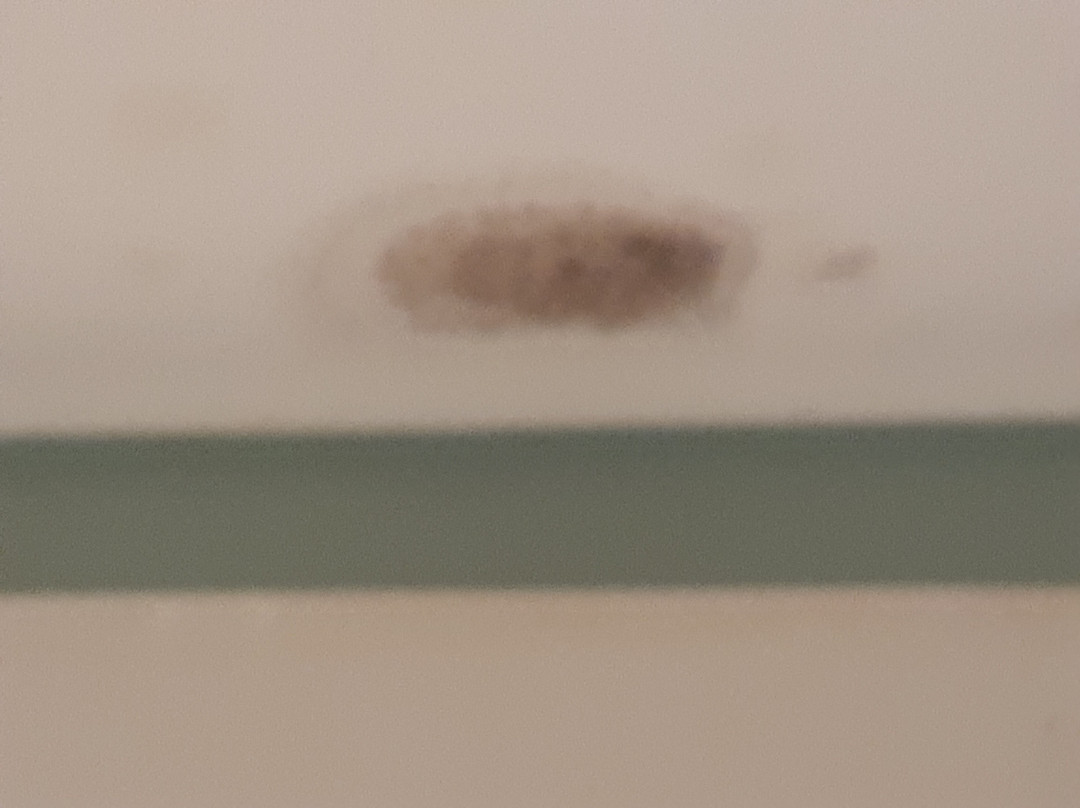 米尔顿凯因斯中心旅客之家酒店主图