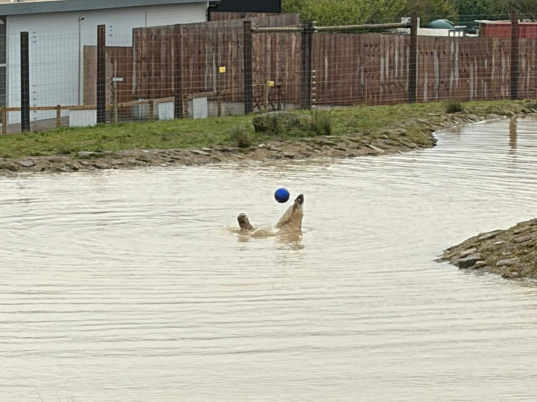 Peak Wildlife Park-Winkhill必去景点