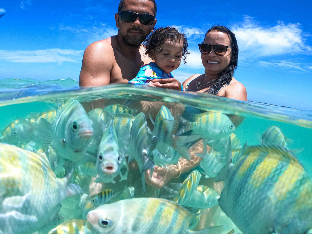 Exclusive Driver Turismo-嘎林海斯港必去景点