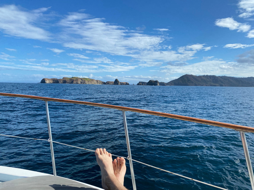 Mr Pelicano Boat Tours-Playa Flamingo必去景点