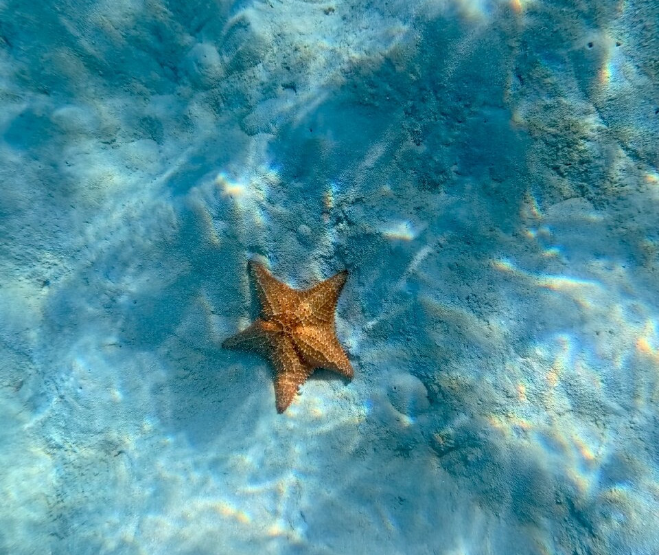 Franconero Escursioni-Bayahibe必去景点