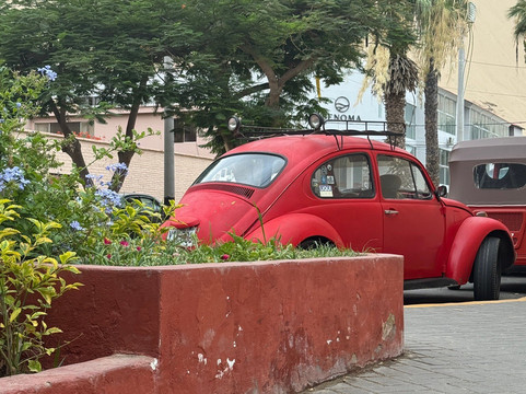 Munarikuy Voyages-伊卡必去景点