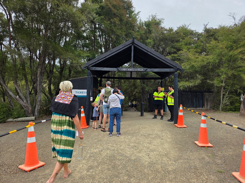Lady Knox Geyser-罗托鲁瓦必去景点