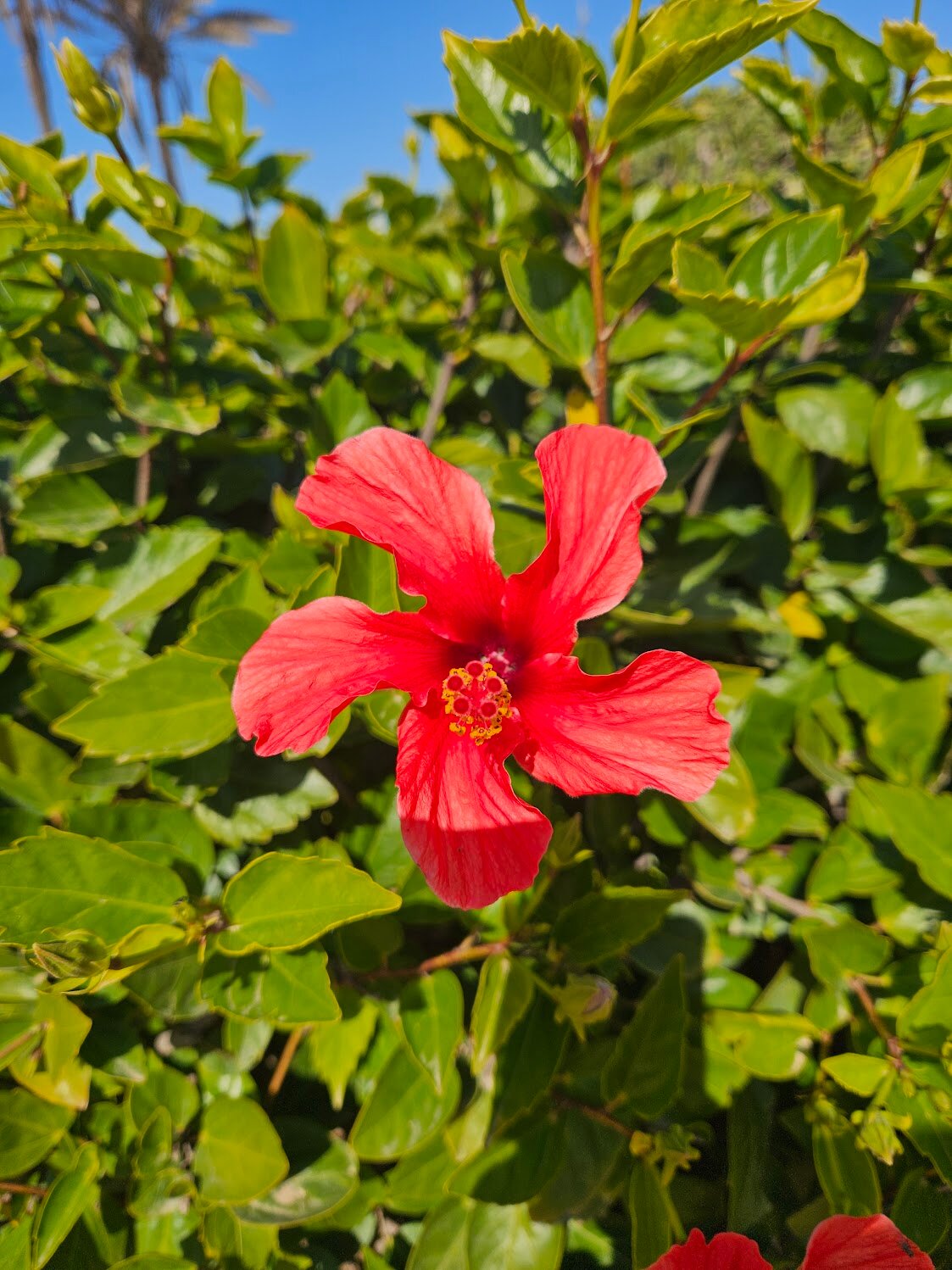 堤基达杜纳斯悦宜湾酒店-浴室