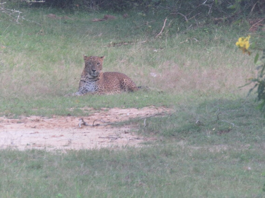 Best of Lanka-科伦坡必去景点