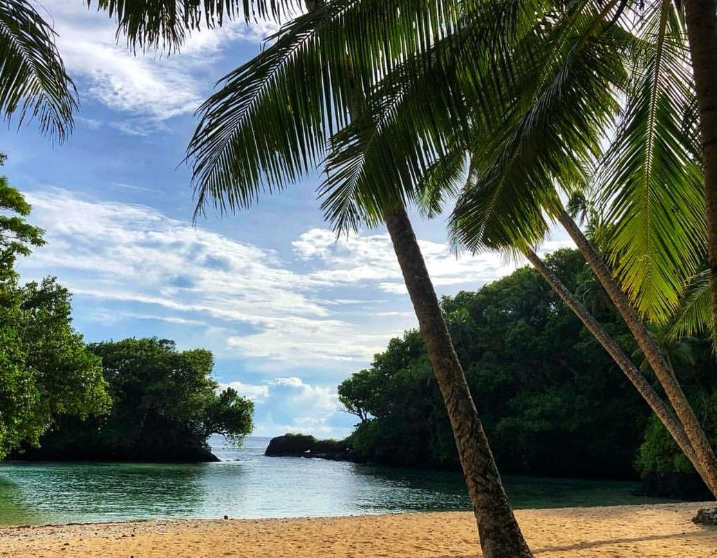 Coconut Tours & Transport Samoa-Vaitele必去景点