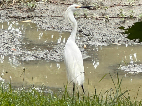 Parque Carlos Sarmiento Lora-Tulua必去景点