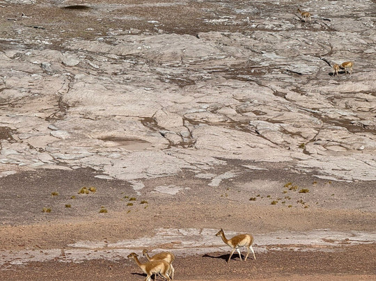 Agencia De Turismo Alabalti Atacama-圣佩德罗-德阿塔卡马必去景点