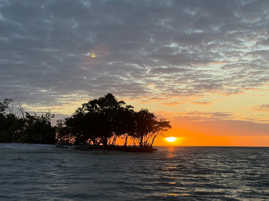 Tour The Glades - Private Wildlife Tours-大沼泽地必去景点