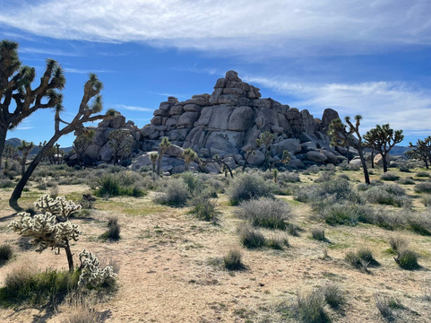 Cap Rock Trail-约书亚树国家公园必去景点