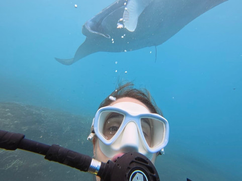 Nico Dives Cool - Day Tours-沙努尔必去景点