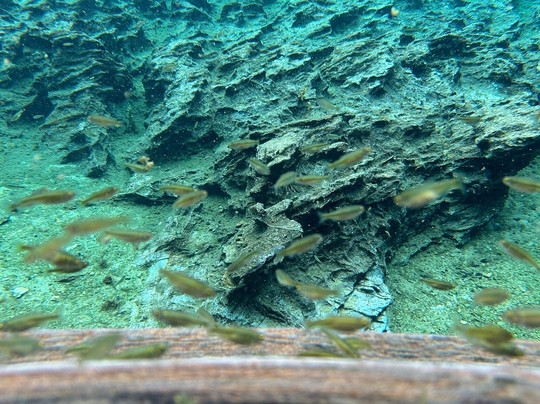 JALAPÃO OFICIAL-Palmas必去景点