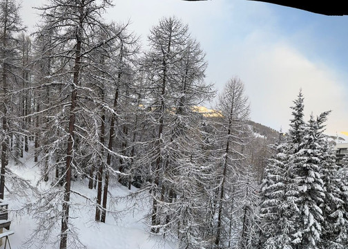 Hôtel - Bar - Restaurant Les Escondus主图