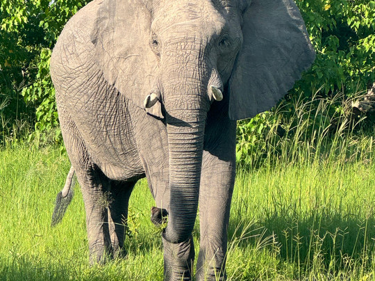 Chase Africa Safaris-鲁德普特必去景点