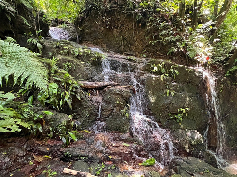 Waterfall Of Ojochal