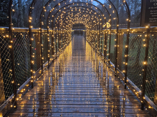 Treetop Walk Avondale-Rathdrum必去景点