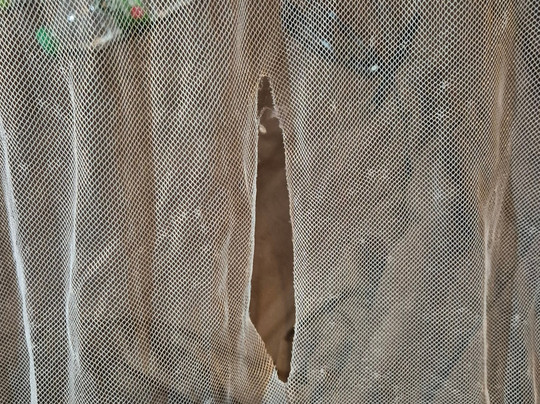 Bayview Sunset Resort主图