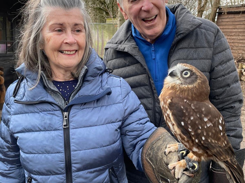 Kent Owl Academy-梅德斯通必去景点