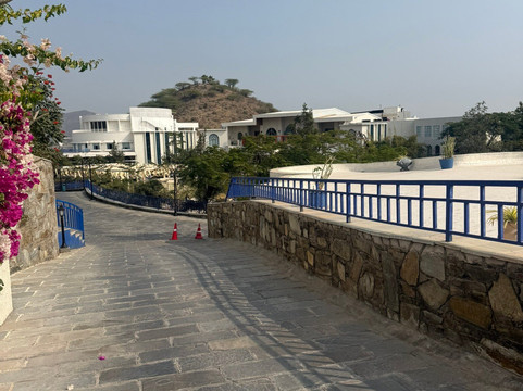 拉米皇家度假村和水疗中心乌代布尔主图