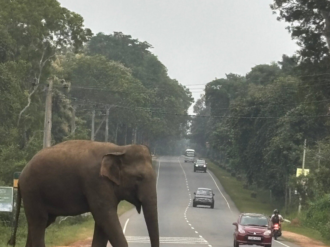 Hm Tours Sri Lanka-卡图纳耶克必去景点