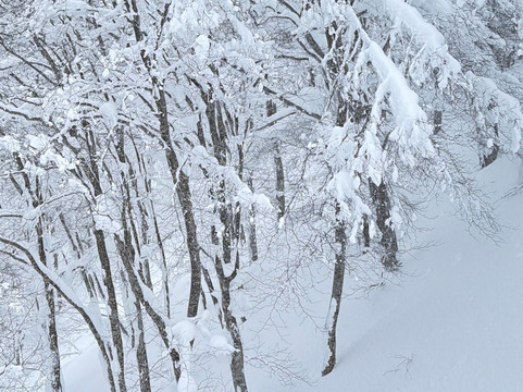 藏王索道-山形市必去景点