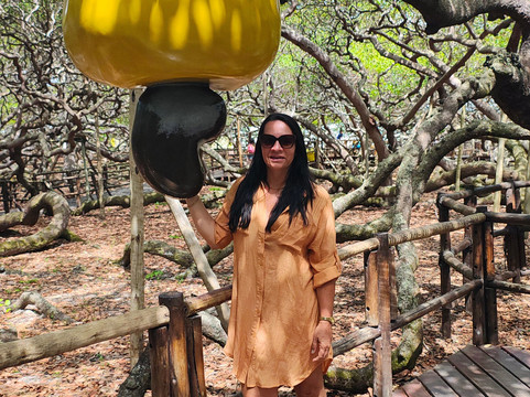 Natal Para Você Passeios-Natal必去景点