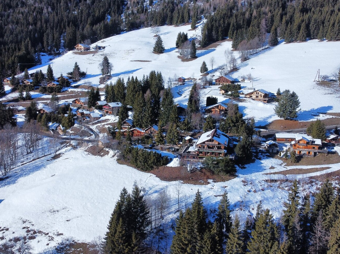 德拉克鲁瓦 - 弗莱莱斯小木屋酒店主图