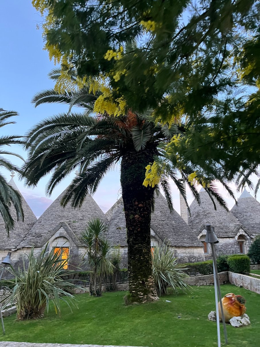 泰努塔蒙那切雷酒店-官方