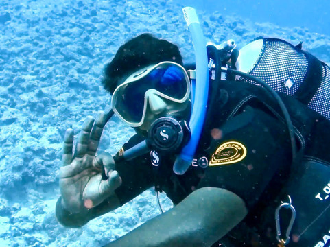 Diving World-大湾必去景点