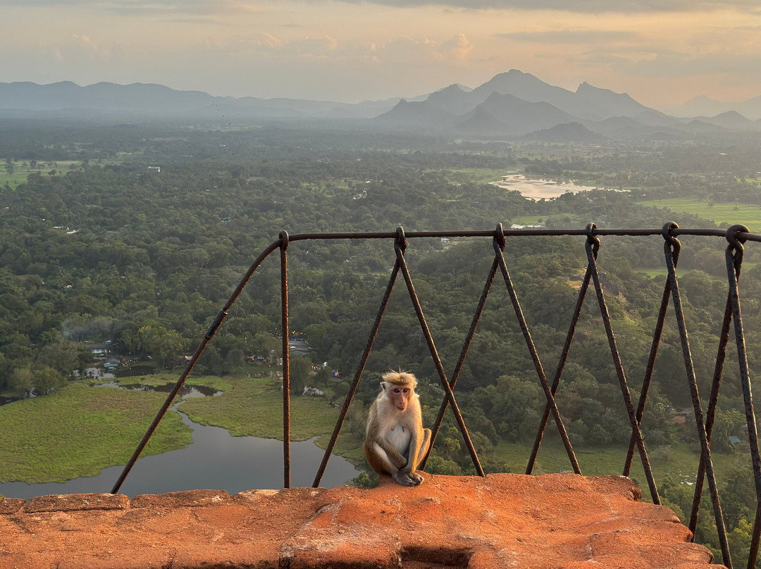 Yala Yewon  Tours-蒂瑟默哈拉默必去景点