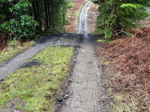 Land Rover Experience Scotland-Dunkeld必去景点