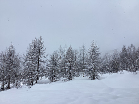 Val Ferret-库马约尔必去景点