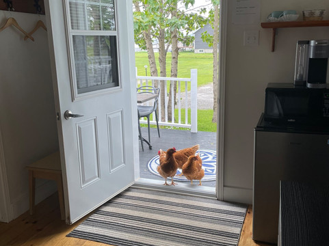 绿波汽车旅馆主图