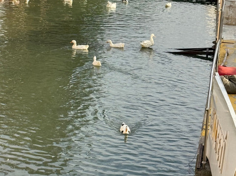 土库曼科纳吉哈尔费蒂精品酒店主图