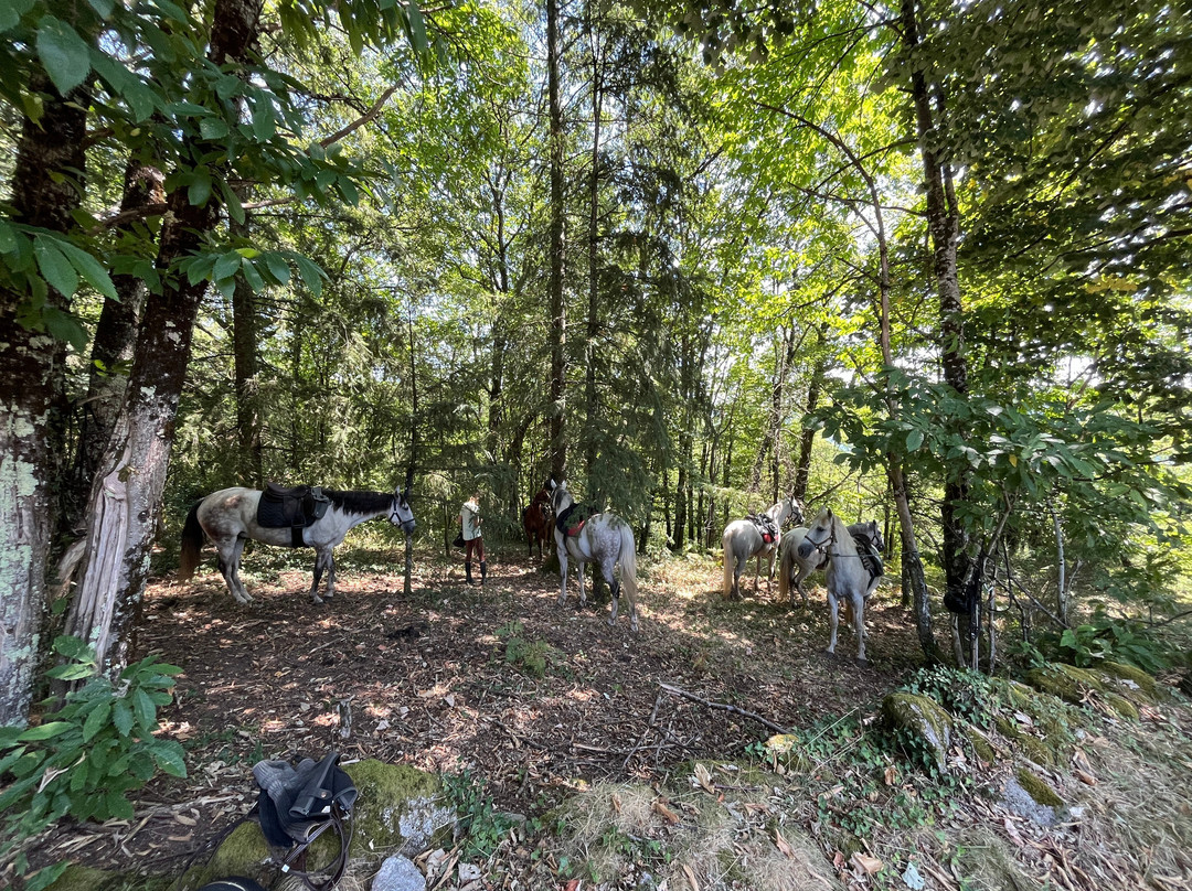 Ferme Équestre Du Mialaret-Camps-Saint-Mathurin-Leobazel必去景点