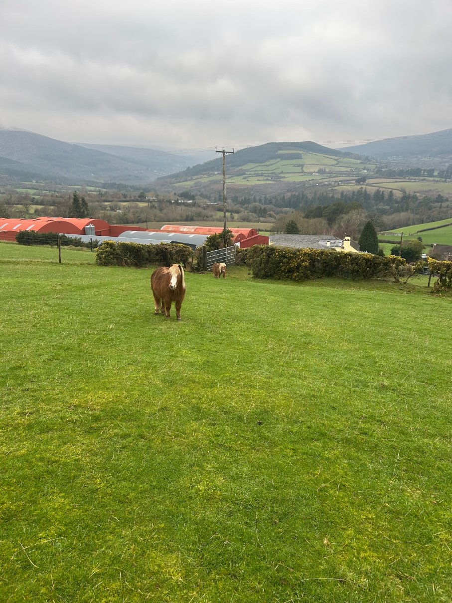 Coolakay House-官方