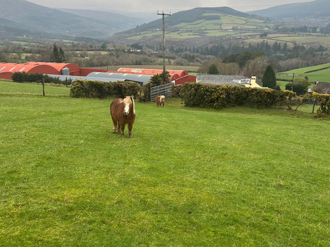 Coolakay House主图