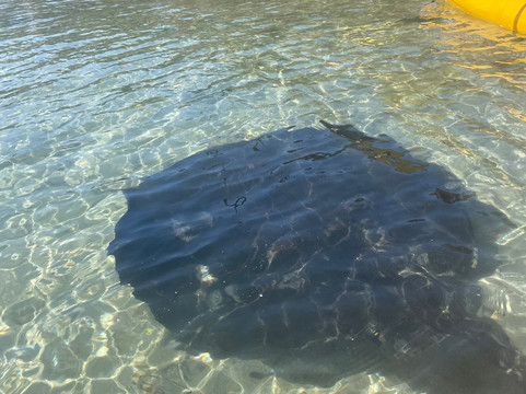 Region X-巴特曼斯贝必去景点