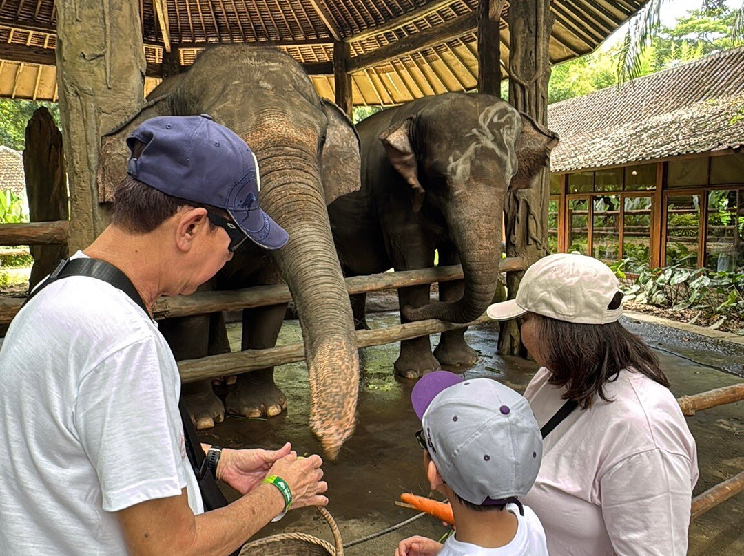 Sasi Bali Tours and Travel-库塔必去景点