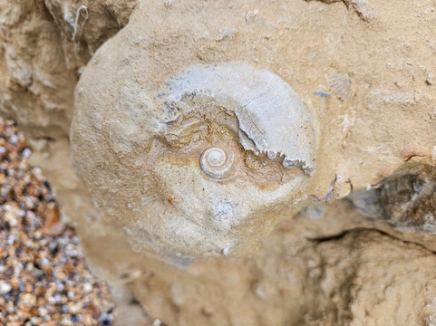 Hive Beach-Burton Bradstock必去景点