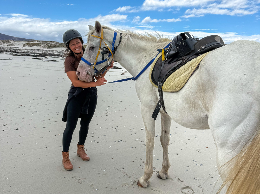 Gansbaai & Pearly Beach Horse Trails-干斯拜必去景点