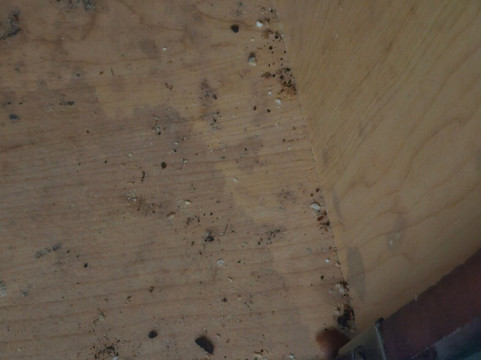 韦恩堡北美国长住公寓主图