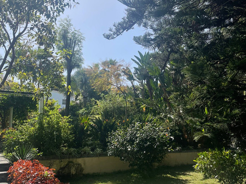 Jardin de Orquideas de Sitio Litre-德拉克鲁兹索尔港必去景点