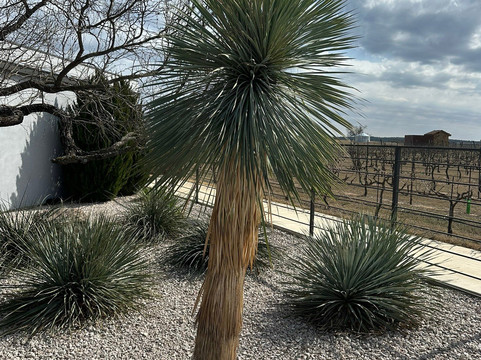 Heath Sparkling Wines Tasting Room-弗雷德里克斯堡必去景点