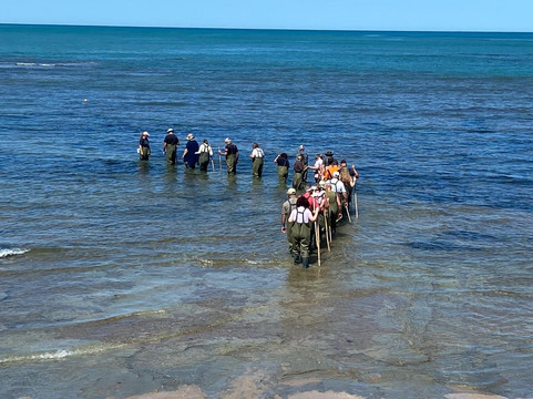 Dive Tatapouri-Gisborne Region必去景点