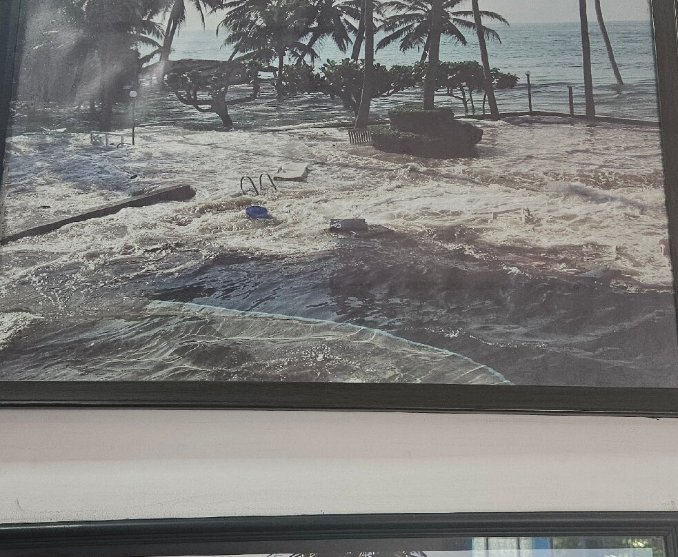 General Tsunami Photo Museum-希克杜沃必去景点