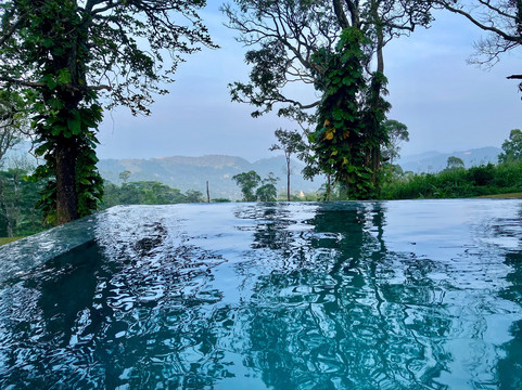 蔚十五汉塔纳庄园主图