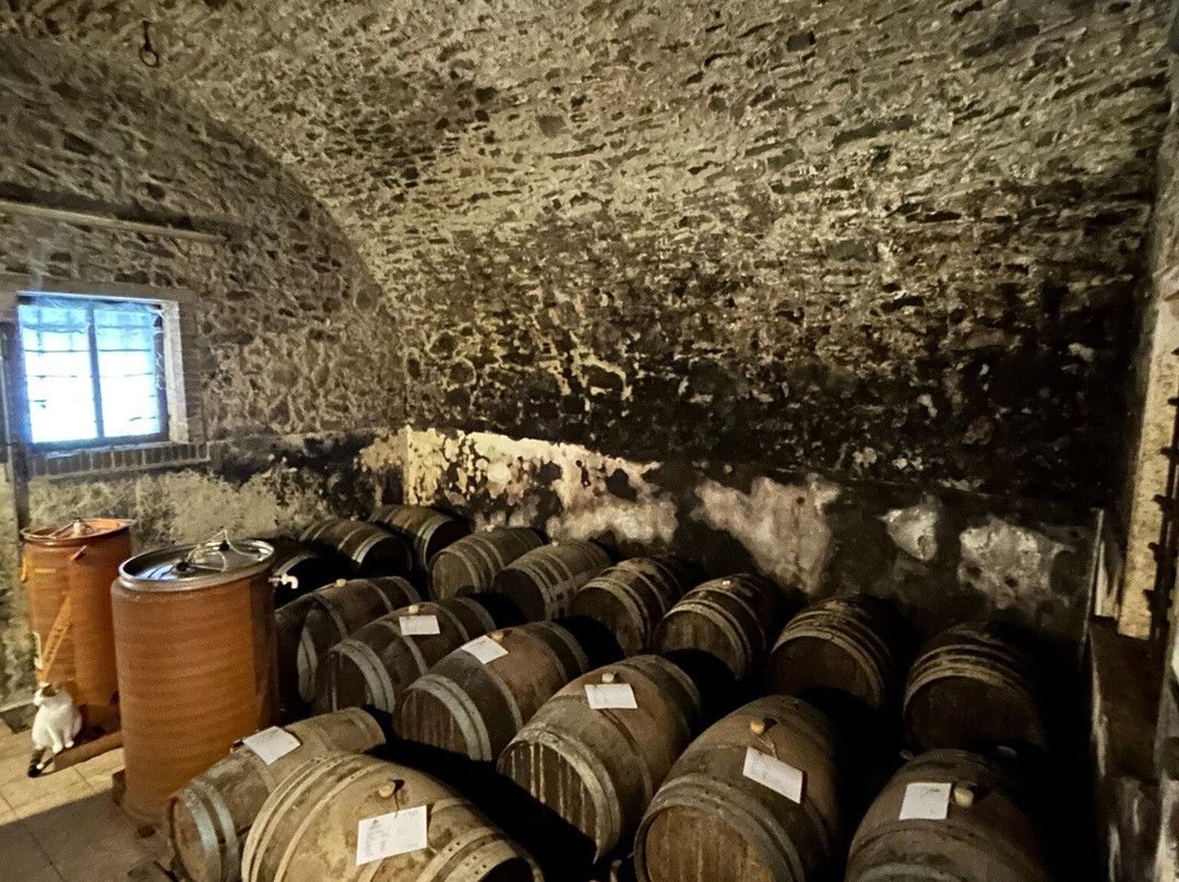 Cantina Giovanni Menti-Gambellara必去景点